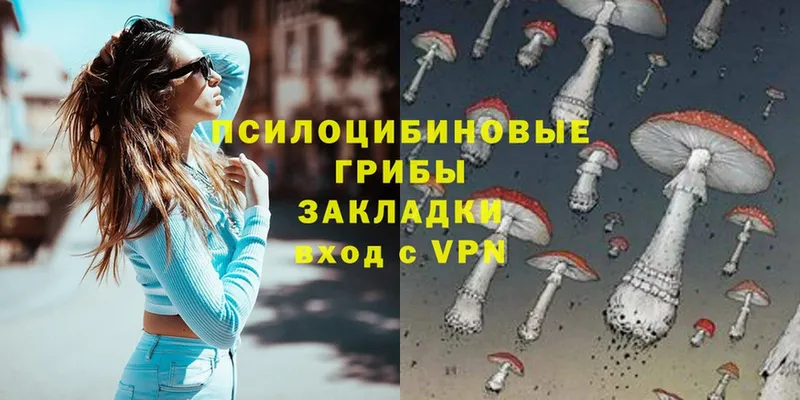 площадка состав  Кумертау  Галлюциногенные грибы Psilocybe  купить наркотики сайты 